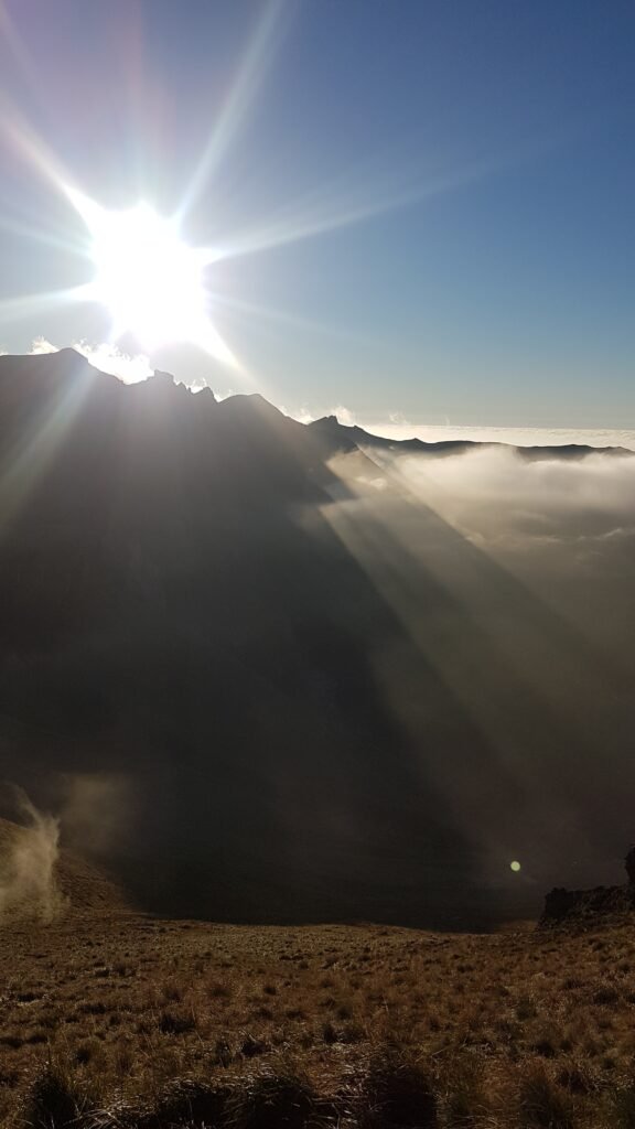 sancy